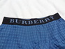 burberry4.JPG