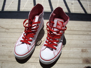 vans_cleango.JPG