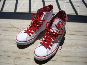vans_cleanmae.JPG