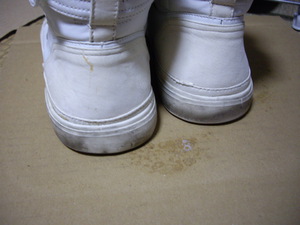 alfsuni_clean_mae3.JPG