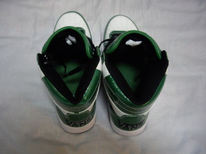 vans_green_hi5.JPG